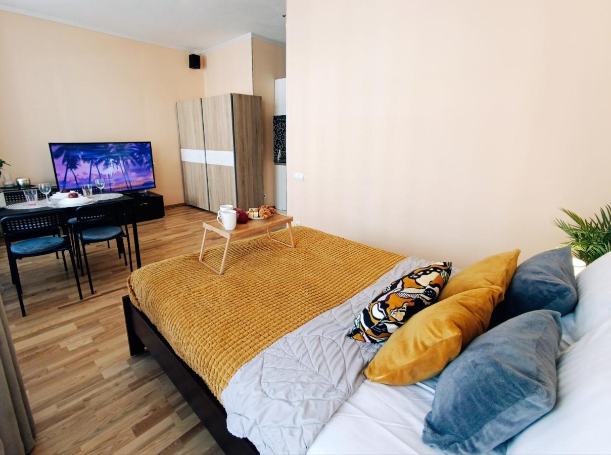 Centrally Located Studio Apartment Riga Buitenkant foto