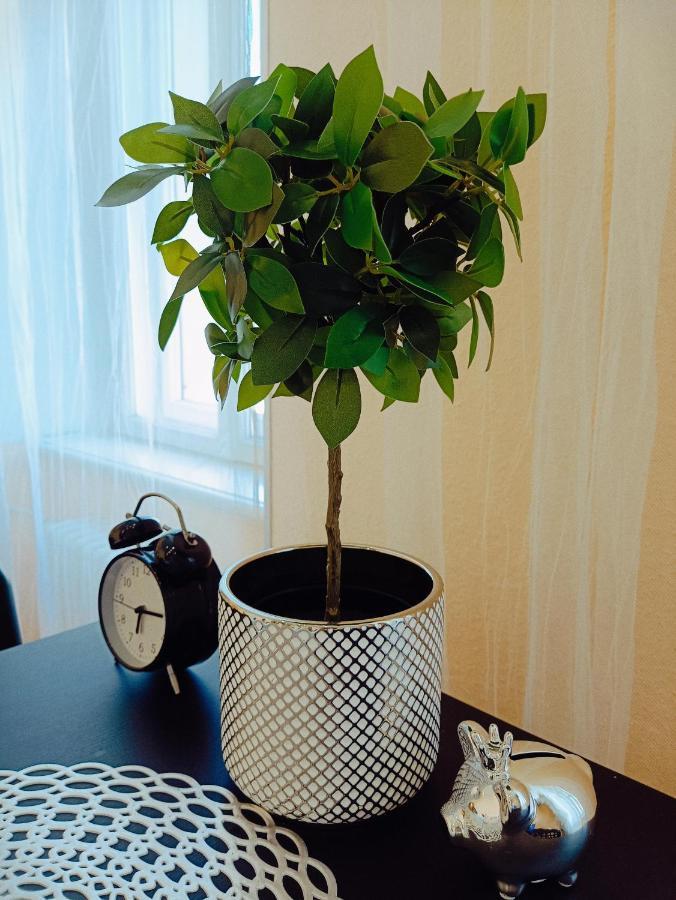 Centrally Located Studio Apartment Riga Buitenkant foto