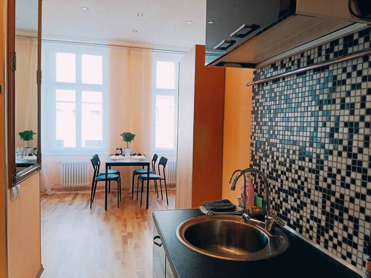 Centrally Located Studio Apartment Riga Buitenkant foto